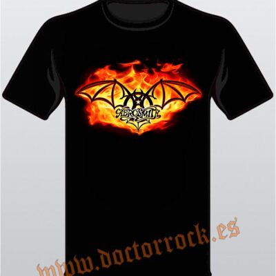 Camiseta Aerosmith Flames