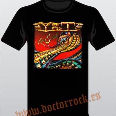 Camiseta Y & T Meanstreak